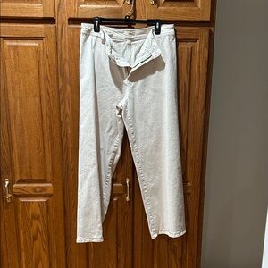 Universal Thread Men's Light Tan Chinos